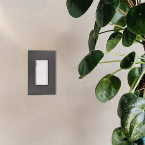 graphite light switch plant min