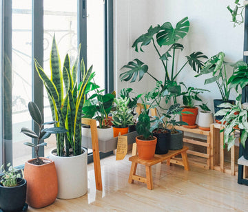 From Register Covers to Indoor Gardens: The Top 10 Requests for Design Professionals in 2023