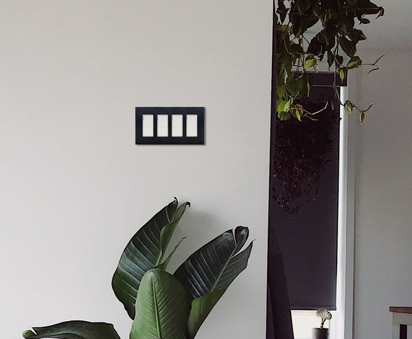 anodized matte black 4gang light switch hallway plants