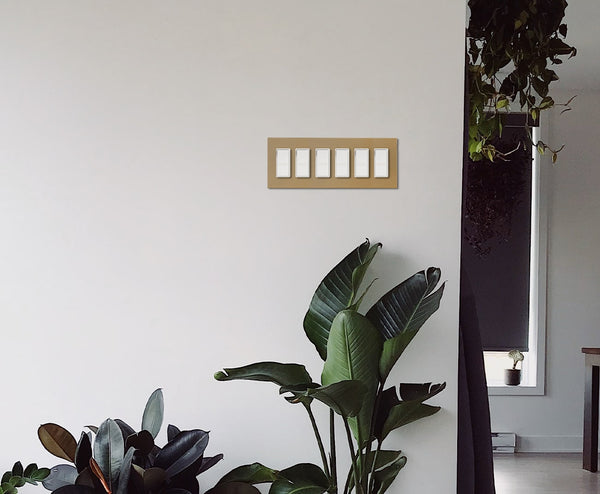 anodized matte gold 6 gang light switch hallway with plants